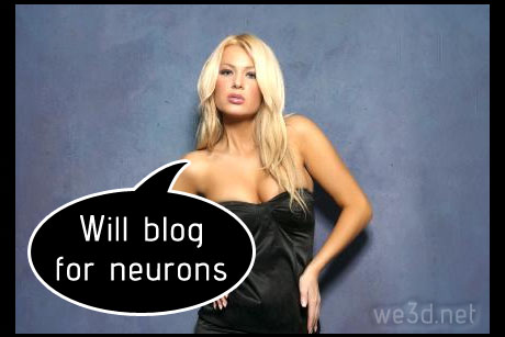 Will blog for neurons