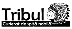 Primul logo Tribul