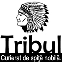 Tribul - curierat rapid pe bicicletă în Bucureşti