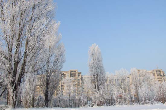 DSCF1204