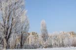 DSCF1204